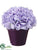 Hydrangea - Amethyst - Pack of 6