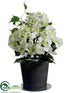 Silk Plants Direct Hydrangea Bush - Cream Green - Pack of 1