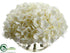 Silk Plants Direct Hydrangea - White - Pack of 2