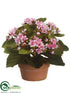 Silk Plants Direct Kalanchoe - Pink - Pack of 4