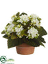 Silk Plants Direct Kalanchoe - White - Pack of 4