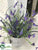 Lavender, Fern - Lavender Purple - Pack of 2