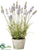 Silk Plants Direct Lavender - Lavender - Pack of 6