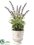 Silk Plants Direct Lavender - Purple - Pack of 2