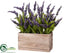 Silk Plants Direct Lavender - Purple - Pack of 2