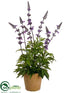 Silk Plants Direct Lavender - Lavender - Pack of 6