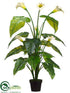 Silk Plants Direct Calla Lily Plant - Cream - Pack of 2