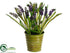 Silk Plants Direct Muscari - Purple - Pack of 6