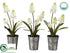 Silk Plants Direct Muscari - White - Pack of 6