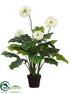 Silk Plants Direct Mum - White - Pack of 2