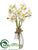 Narcissus - White Yellow - Pack of 12