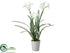 Silk Plants Direct Narcissus - White - Pack of 2