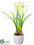 Silk Plants Direct Narcissus - White - Pack of 1