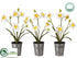 Silk Plants Direct Narcissus - White Yellow - Pack of 6
