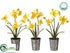 Silk Plants Direct Narcissus - Yellow Gold - Pack of 6