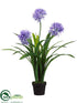 Silk Plants Direct Agapanthus - Blue - Pack of 2