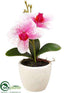 Silk Plants Direct Phalaenopsis Orchid - Rubrum White - Pack of 12