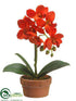 Silk Plants Direct Phalaenopsis Orchid Plant - Flame - Pack of 4