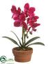Silk Plants Direct Phalaenopsis Orchid Plant - Violet - Pack of 4