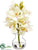 Silk Plants Direct Cymbidium Orchid - White - Pack of 6