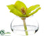 Silk Plants Direct Cymbidium Orchid - Green - Pack of 12