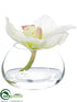 Silk Plants Direct Cymbidium Orchid - White - Pack of 12