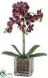 Silk Plants Direct Phalaenopsis Orchid Plant - Eggplant - Pack of 4