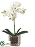 Silk Plants Direct Phalaenopsis Orchid Plant - White - Pack of 4