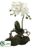 Silk Plants Direct Phalaenopsis Orchid Plant - White - Pack of 4