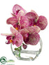 Silk Plants Direct Phalaenopsis Orchid - Cerise Orchid - Pack of 4