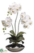 Silk Plants Direct Phalaenopsis Orchid Plant - White Green - Pack of 1