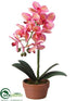 Silk Plants Direct Phalaenopsis Orchid Plant - Pink Apricot - Pack of 4