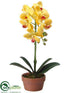 Silk Plants Direct Phalaenopsis Orchid Plant - Yellow - Pack of 4