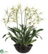 Silk Plants Direct Brassia Orchid Plant - Green Two Tone - Pack of 1