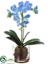 Silk Plants Direct Phalaenopsis Orchid Plant - Delphinium - Pack of 4