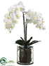 Silk Plants Direct Phalaenopsis Orchid Plant - White - Pack of 1