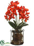 Silk Plants Direct Phalaenopsis Orchid Plant - Flame - Pack of 1