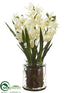 Silk Plants Direct Cymbidium Orchid Plant - Cream - Pack of 1