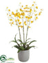 Silk Plants Direct Oncidium Orchid Plant - Yellow - Pack of 1