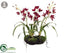 Silk Plants Direct Cymbidium Orchid Plant - Burgundy - Pack of 2