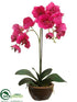 Silk Plants Direct Phalaenopsis Orchid Plant - Orchid - Pack of 4