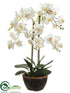Silk Plants Direct Phalaenopsis Orchid Plant - White - Pack of 3