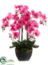 Silk Plants Direct Phalaenopsis Orchid Plant - Orchid - Pack of 2