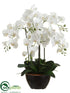 Silk Plants Direct Phalaenopsis Orchid Plant - White - Pack of 2