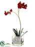 Silk Plants Direct Mini Phalaenopsis Orchid - Red - Pack of 4
