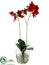 Silk Plants Direct Phalaenopsis Orchid Plant - Red - Pack of 1