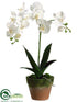 Silk Plants Direct Phalaenopsis Orchid Plant - White Yellow - Pack of 2