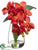 Phalaenopsis Orchid Plant - Orange - Pack of 4