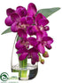 Silk Plants Direct Phalaenopsis Orchid Plant - Violet - Pack of 4