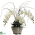 Silk Plants Direct Phalaenopsis Orchid Plant - Cream - Pack of 2